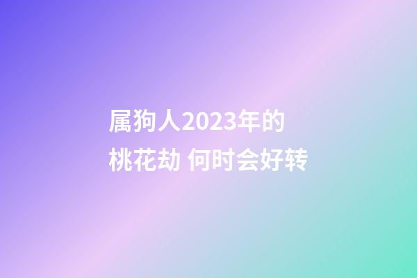 属狗人2023年的桃花劫 何时会好转